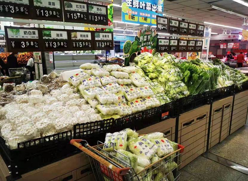 2025年11月17日全国首要批发商业商场火龙果价格行情