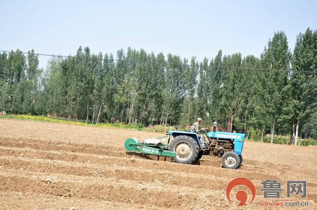 调整大小 重新曝光 DSC_5332.jpg